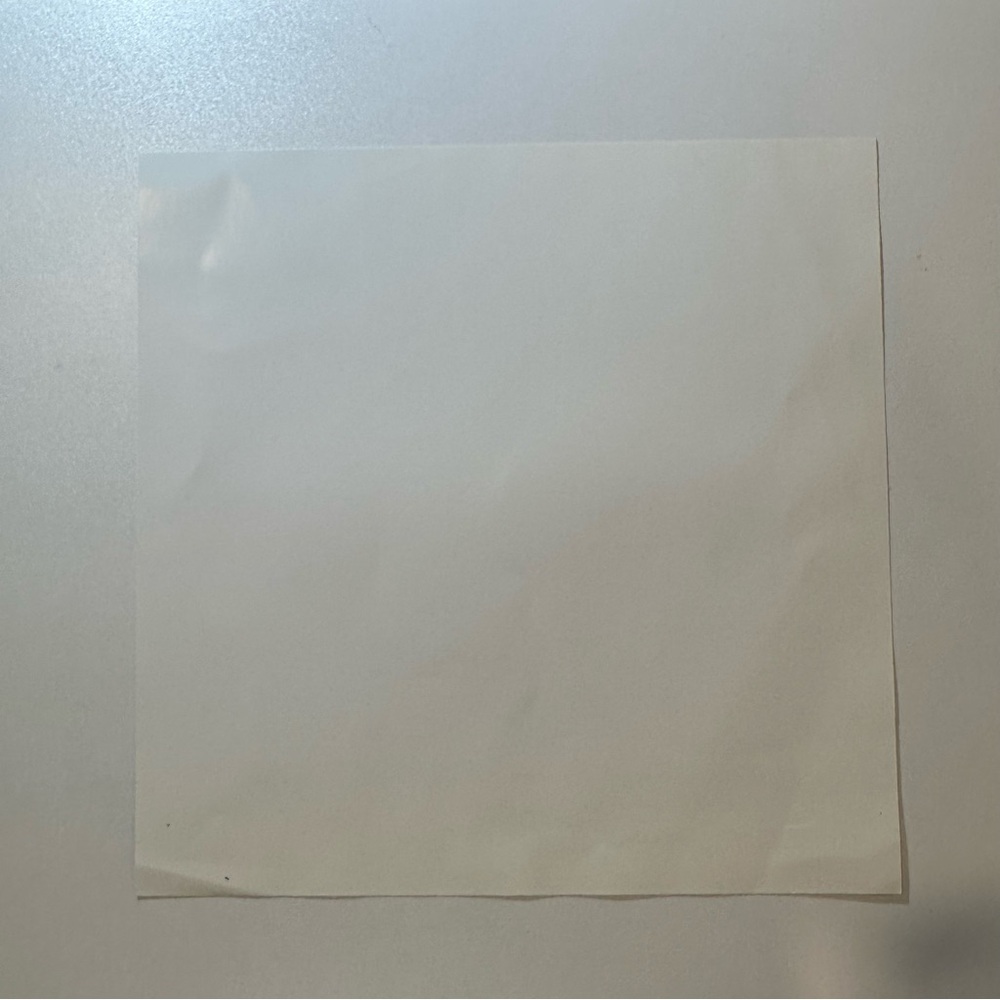 Park West Emilie Bellet "Dans la Maturite des Bles" 10x10 Lithograph print COA - Picture 14 of 14